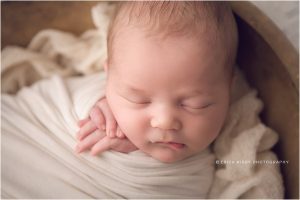 Newborn Photography Studio Bentonville AR - baby boy newborn photo session in nwa