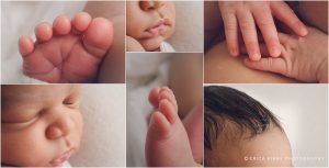 Best Newborn Photographer Northwest Arkansas Bentonville Fayetteville AR - African American Baby boy newborn session - erica kirby photography