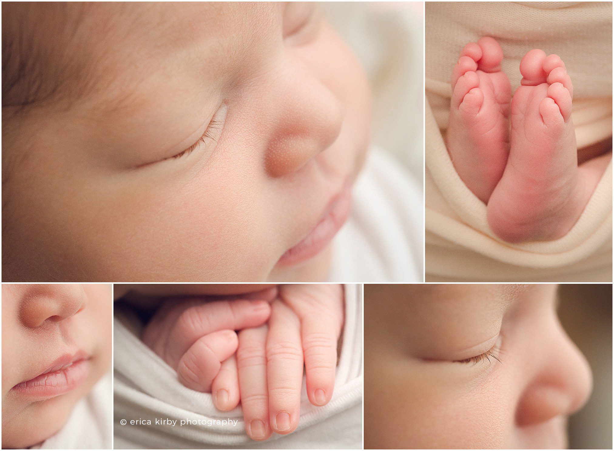 Newborn Photography Studio Rogers Arkansas - baby girl newborn photo session in Erica Kirby Photography's studio in Northwest AR